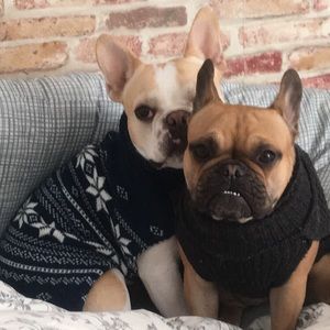 Meet your Posher, Chris